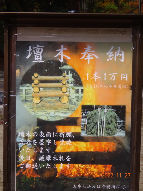 DSC01613.JPG