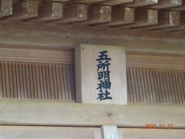 DSC01616.JPG