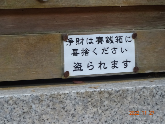 DSC01617.JPG