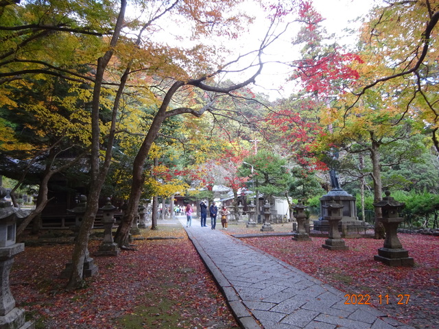 DSC01620.JPG