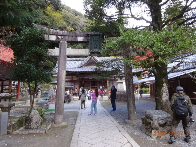 DSC01621.JPG