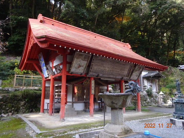 DSC01625.JPG