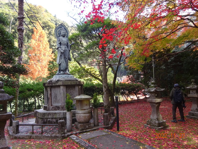 DSC01628.JPG