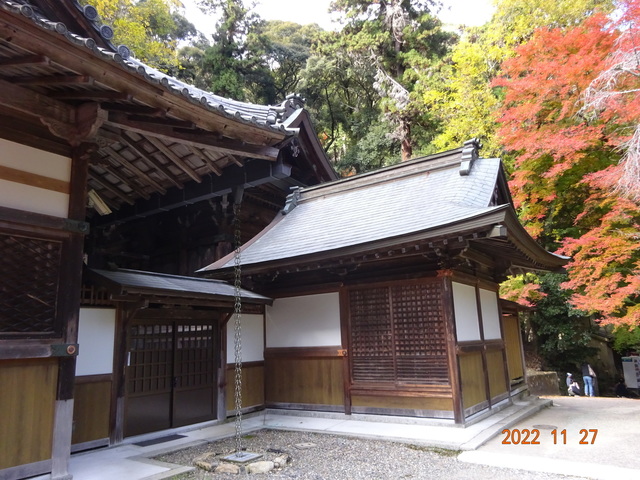 DSC01637.JPG