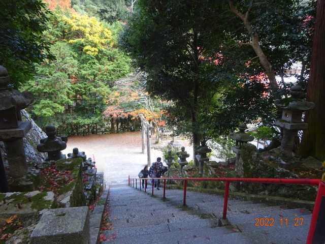 DSC01640.JPG
