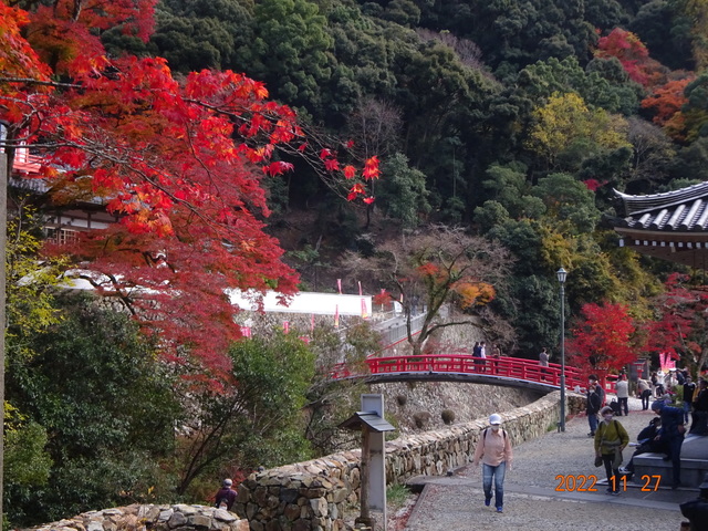 DSC01641.JPG