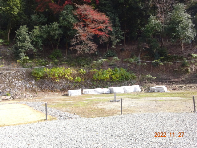 DSC01649.JPG