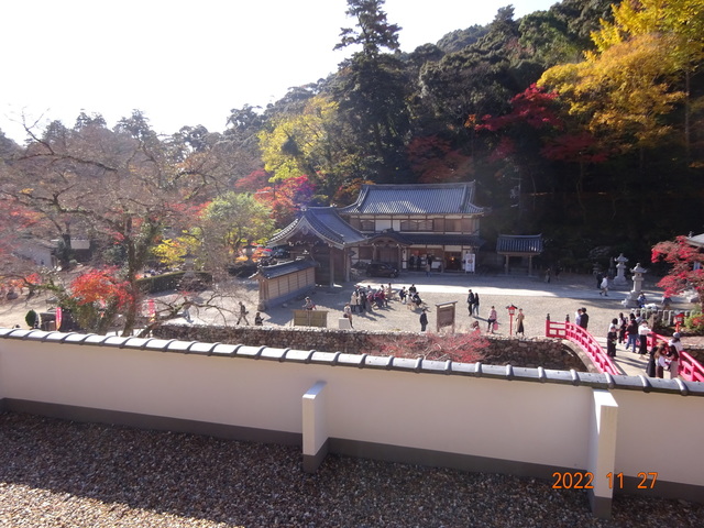 DSC01661.JPG