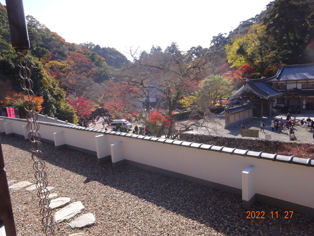 DSC01662.JPG