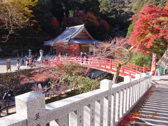 DSC01690.JPG