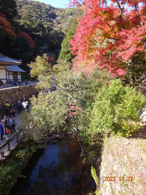 DSC01691.JPG