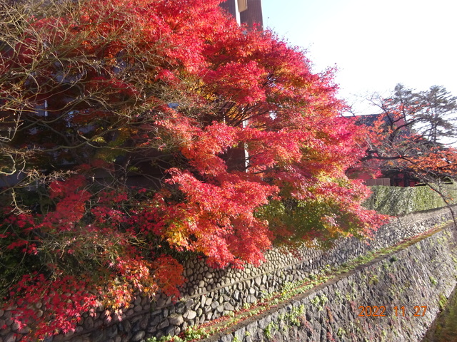 DSC01709.JPG