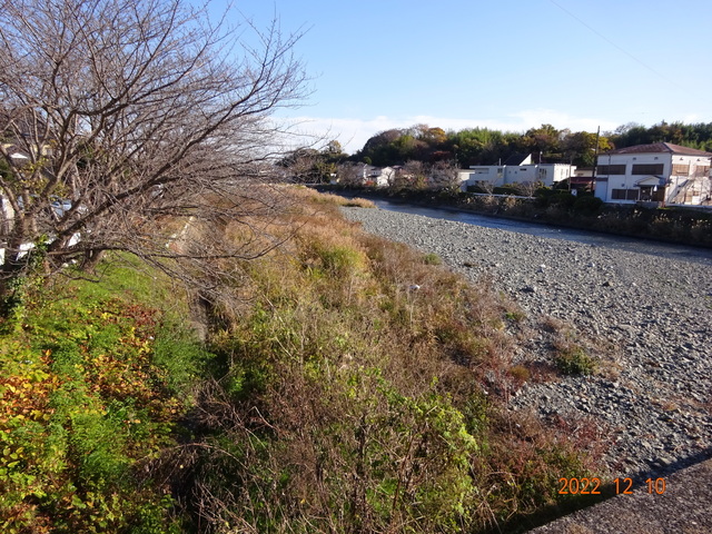 DSC01824.JPG