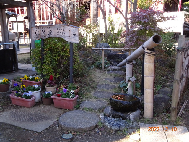DSC01836.JPG