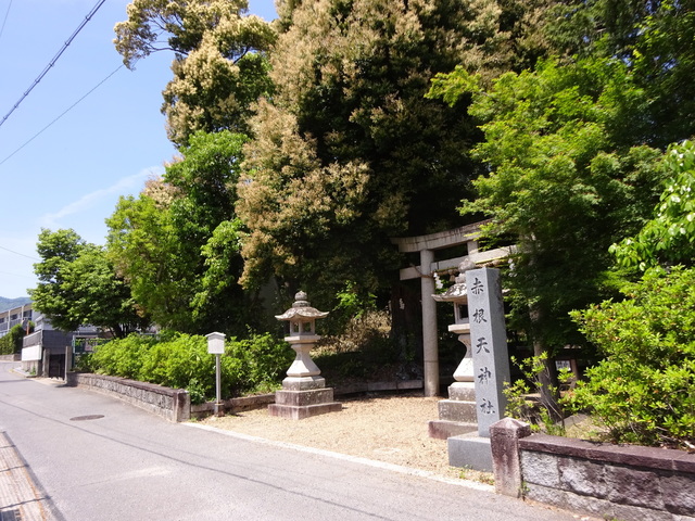 DSC02505.JPG
