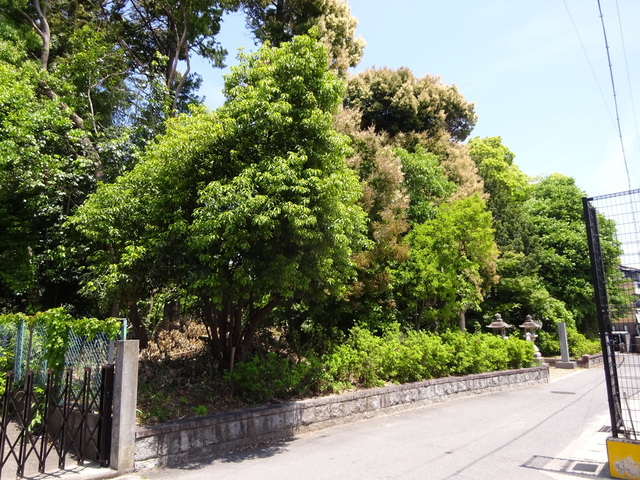 DSC02506.JPG