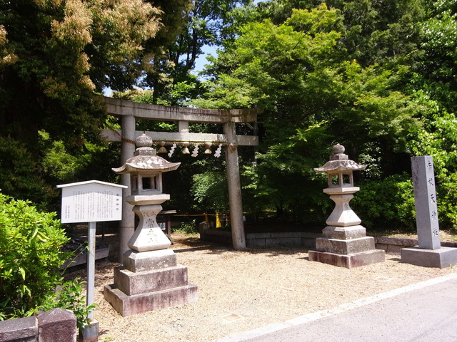 DSC02507.JPG