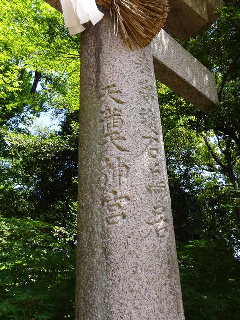 DSC02509.JPG