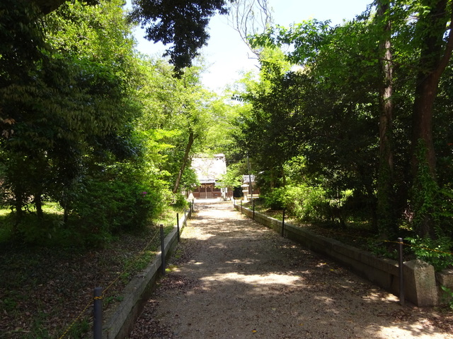 DSC02511.JPG