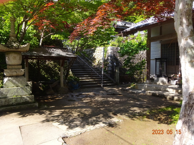 DSC02640.JPG