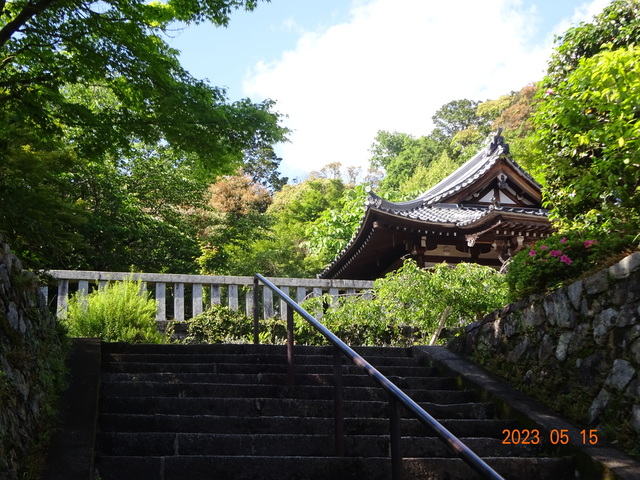 DSC02641.JPG