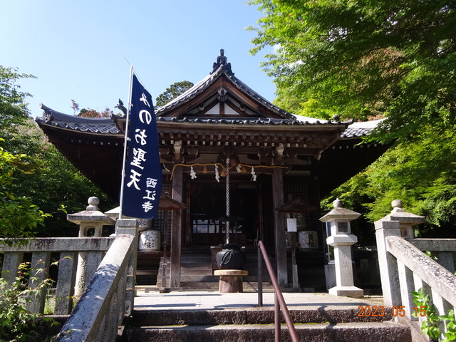 DSC02643.JPG