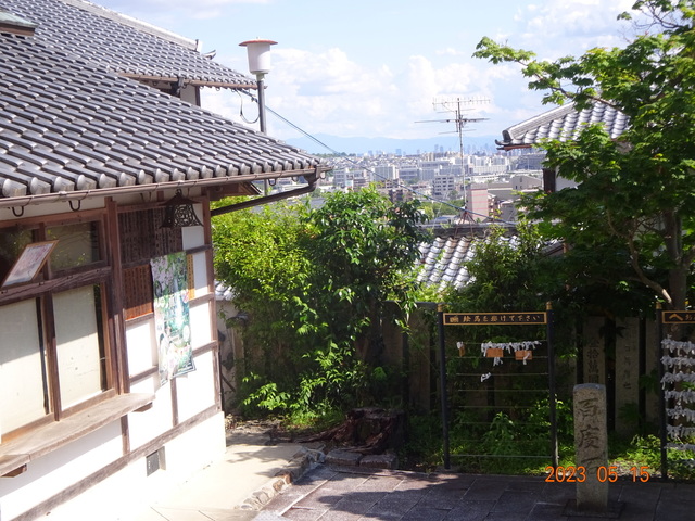 DSC02644.JPG