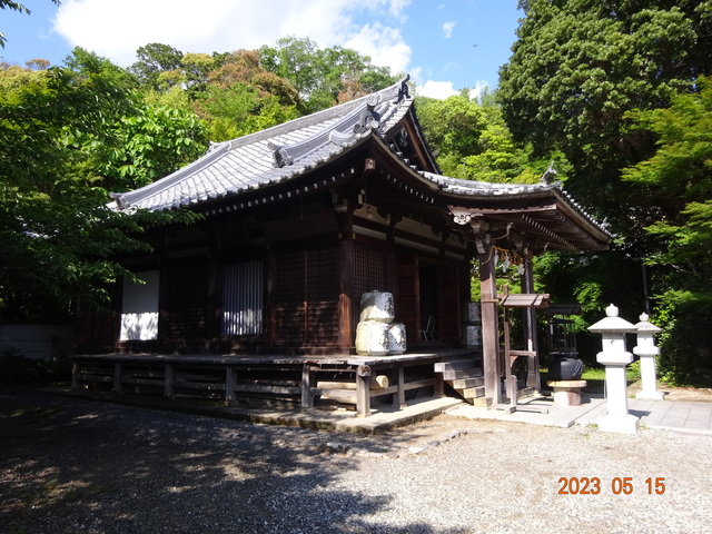 DSC02645.JPG
