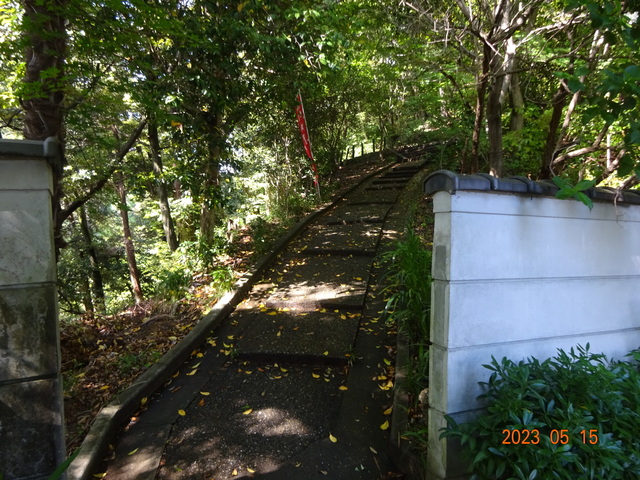 DSC02646.JPG