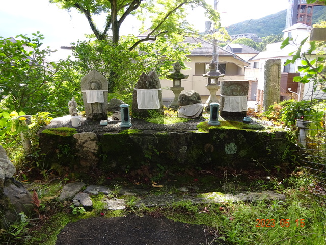 DSC02649.JPG