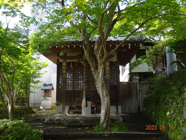 DSC02650.JPG