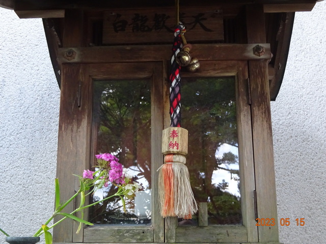 DSC02652.JPG