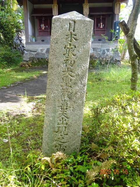 DSC02654.JPG