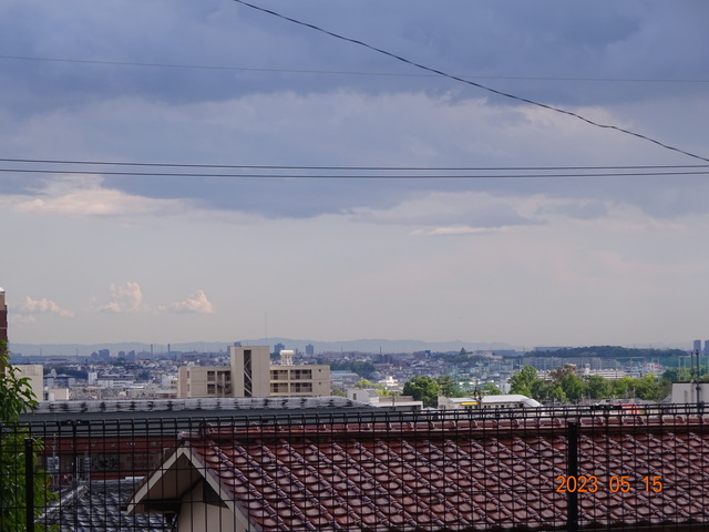 DSC02660.JPG