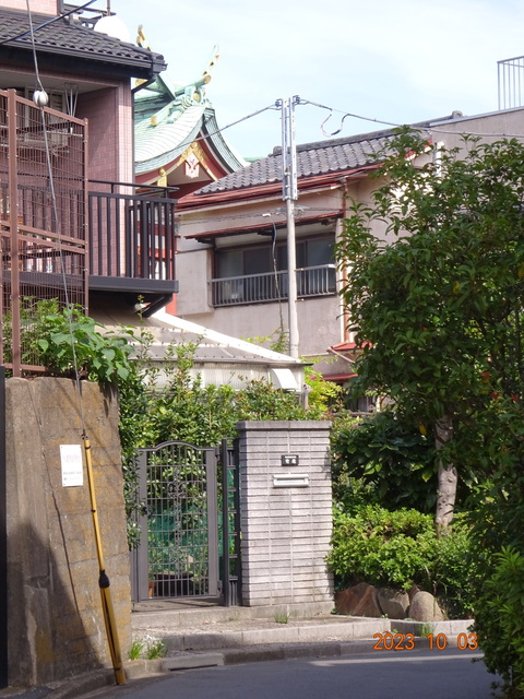 DSC03050.JPG