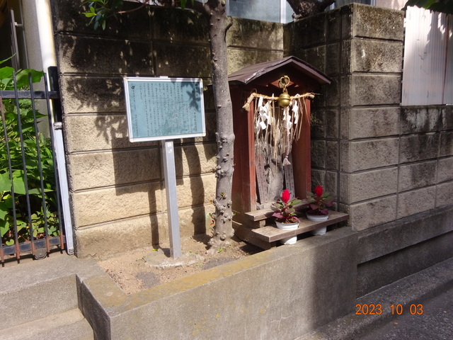 DSC03051.JPG