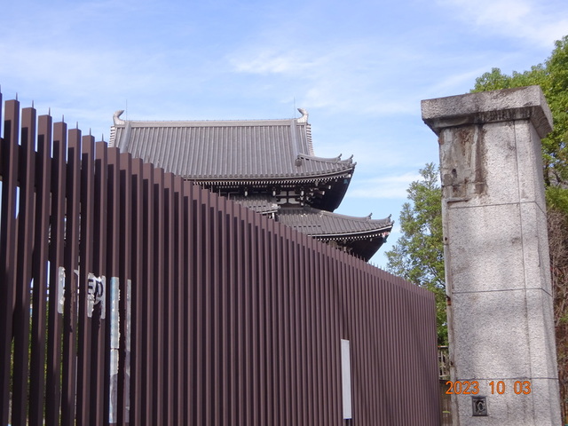 DSC03053.JPG
