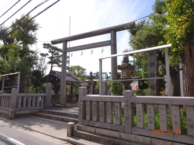 DSC03086.JPG