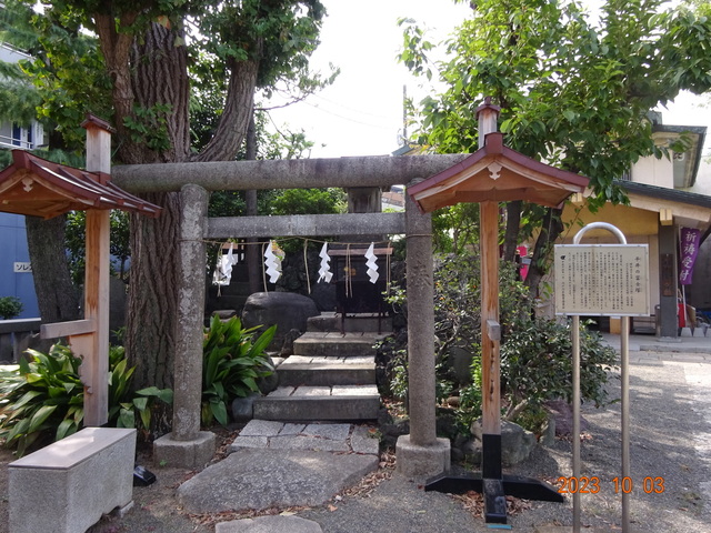 DSC03100.JPG
