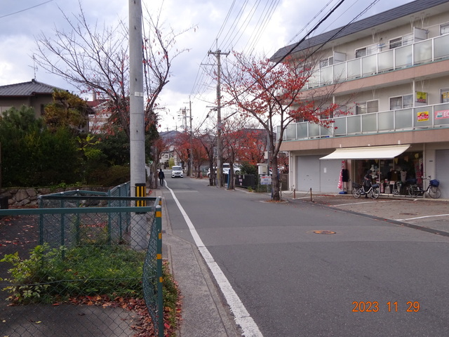 DSC03373.JPG