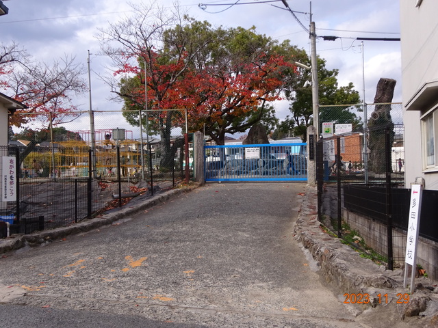 DSC03377.JPG