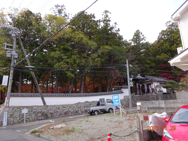 DSC03380.JPG