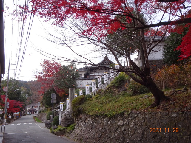DSC03383.JPG