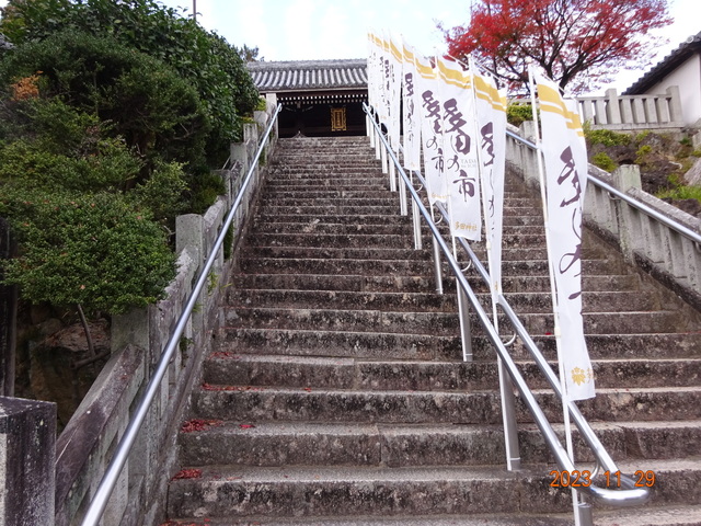 DSC03386.JPG
