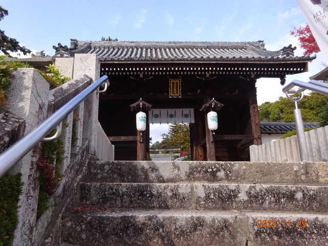 DSC03387.JPG