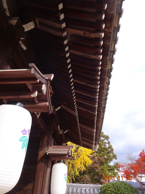DSC03388.JPG