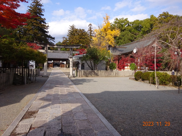 DSC03389.JPG