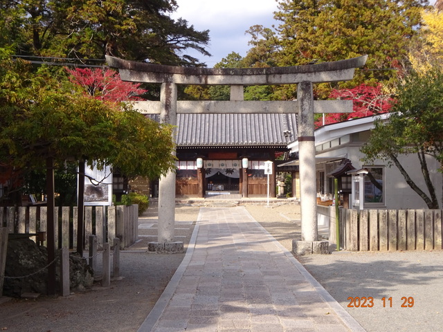 DSC03390.JPG