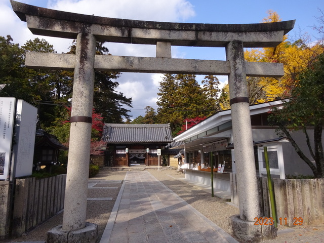 DSC03396.JPG