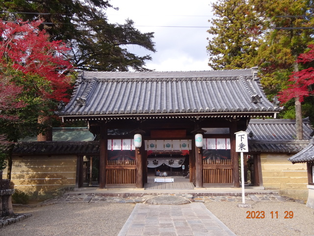 DSC03398.JPG